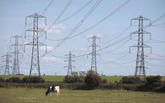 foto 0000000220130822200308