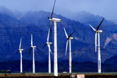 foto 0000000420131129162239